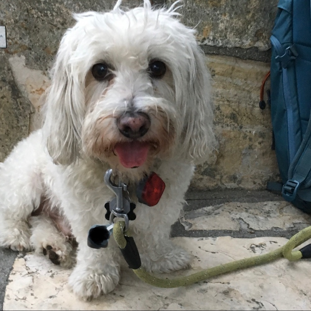 Meet your Posher, Sam